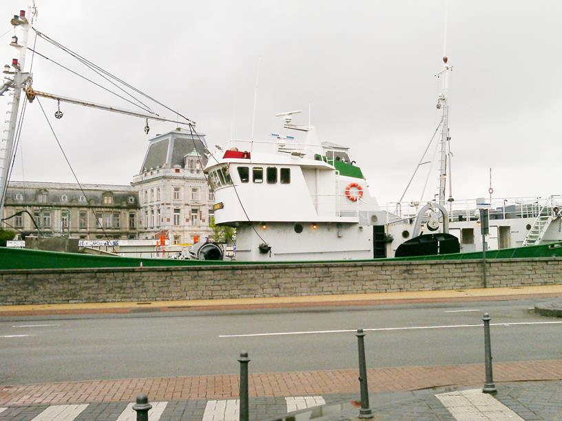 C06 (Copy).JPG